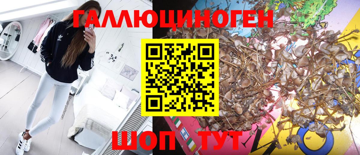 Псилоцибиновые грибы прущие грибы  Галлюциногенные грибы Cubensis  Вход с VPN  Коряжма 