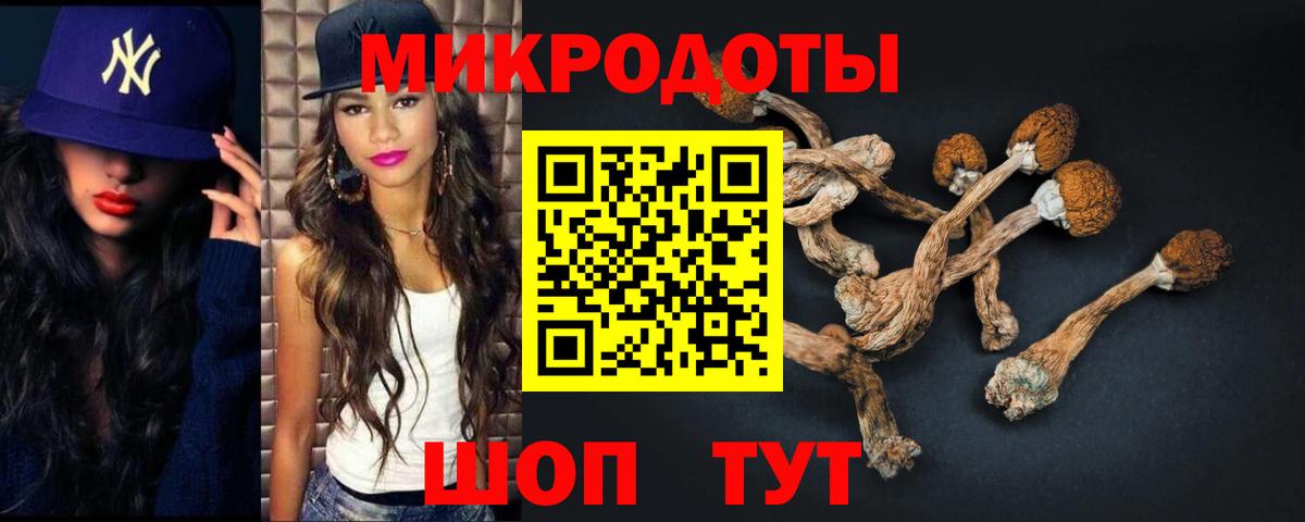 Галлюциногенные грибы Cubensis Коряжма